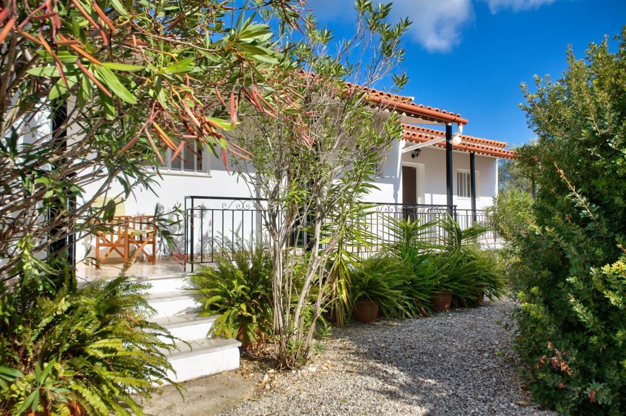 Theodora Apartments - Paxos Гайос Экстерьер фото